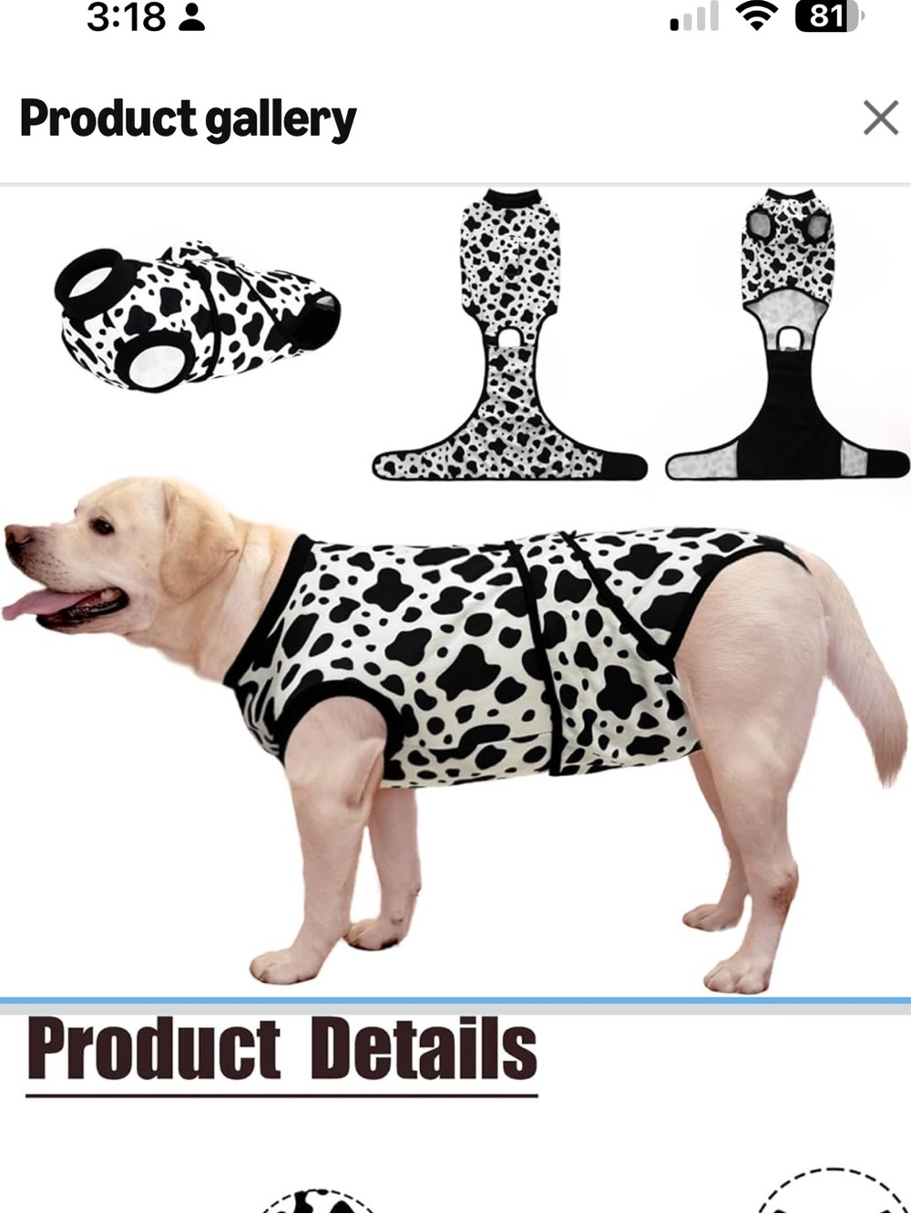 Cow Print Dog Recovery Shirt - Black & White